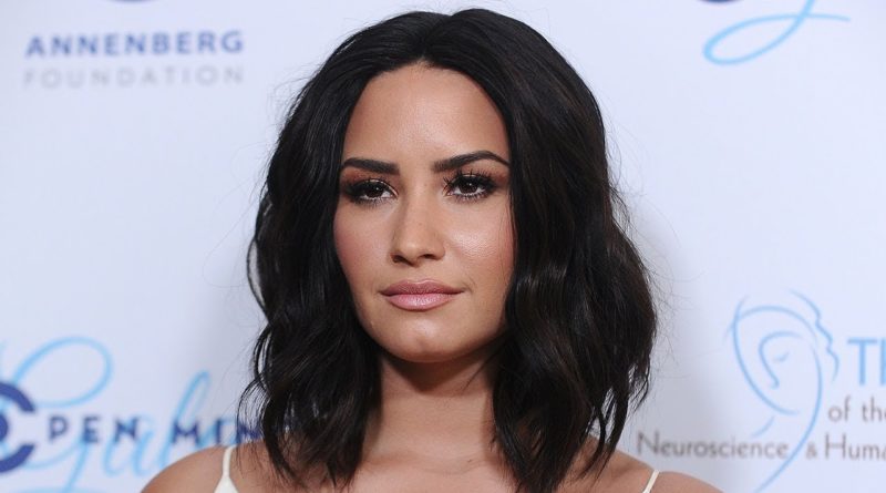 Demi Lovato CLAPS BACK at Fan who Details HORRIBLE Meet & Greet Experience